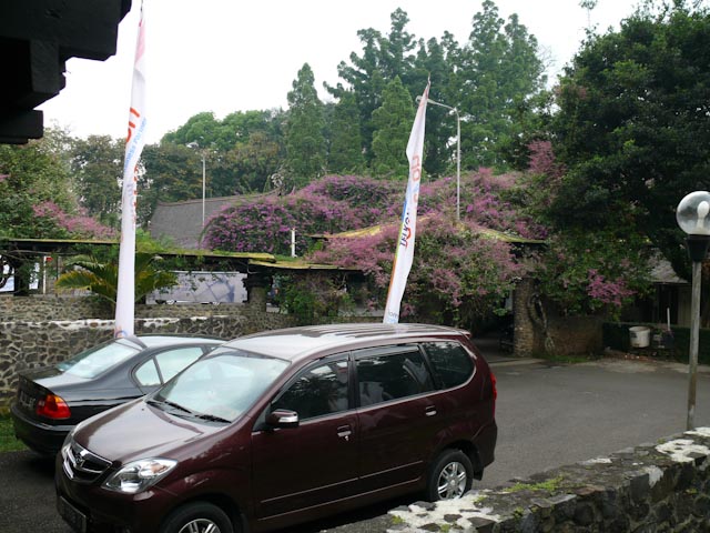 P1030584